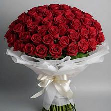 Букет 101 Красная роза Блэк Мэджик в Семибратово
