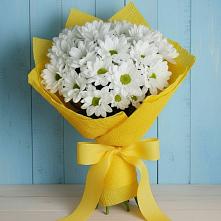 Букет цветов из:  Хризантемы #REPLACE_PRED# Семибратово