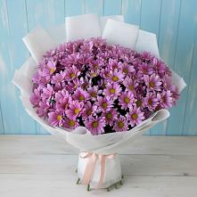 Букет цветов из:  Хризантемы в Семибратово