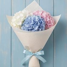 Букет цветов из:  Гортензия в Семибратово