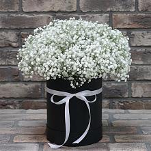 Цветочная композиция из Гипсофила в шляпной коробке в Семибратово