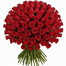 Букет Красные розы Чери Лав в Семибратово