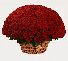 Премиум букет из: Розы в Семибратово