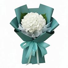 Букет цветов из:  Гортензия в Семибратово